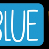 Blue Frogs Solutions Pvt Ltd
